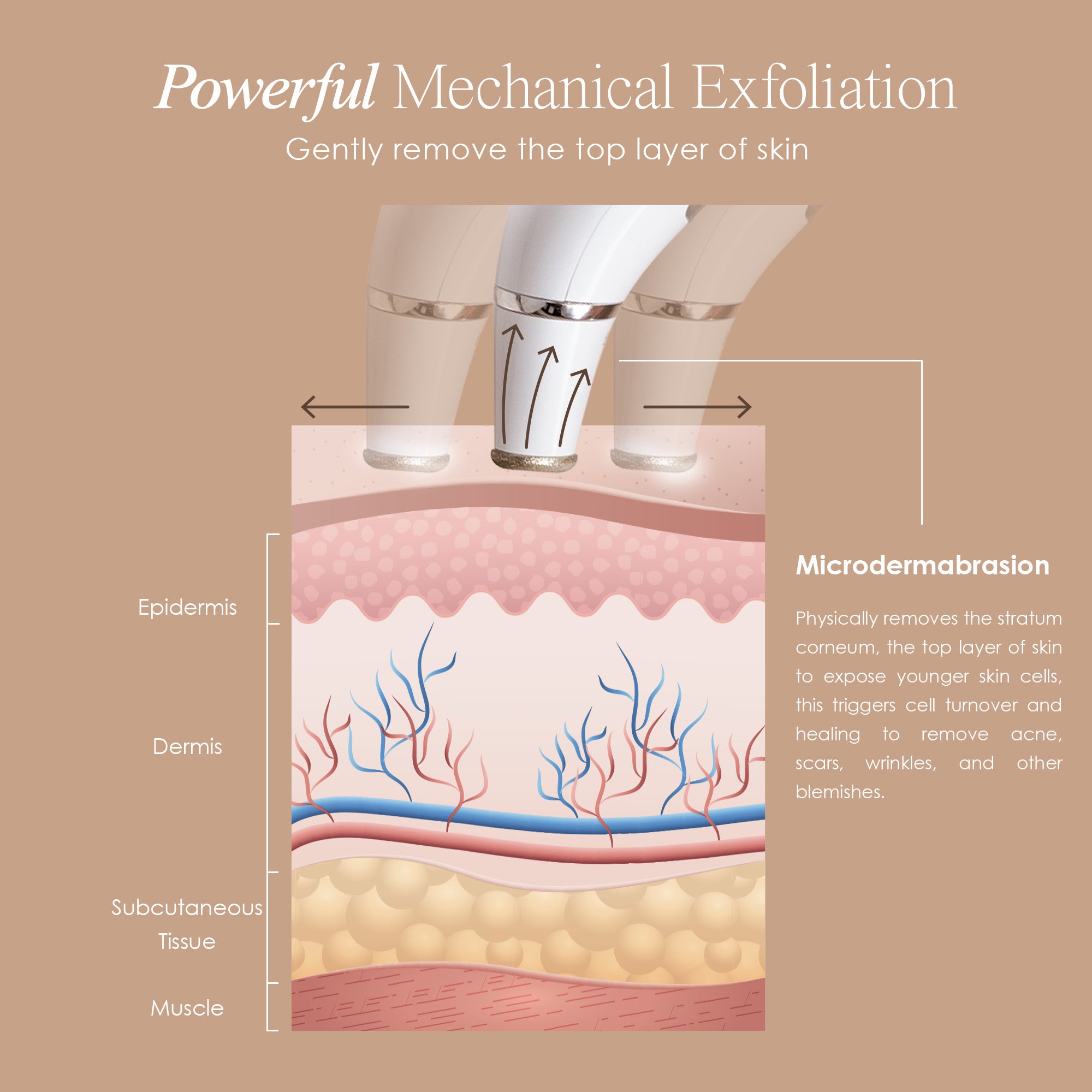 Reinvo microdermabrasion wand showing skin infographic on how mechanical exfoliation removes the top layer of skin